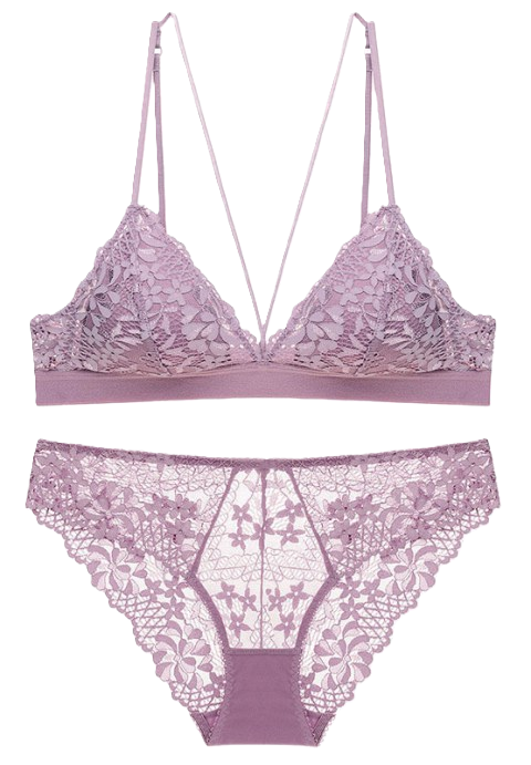 Sexy Embroidered Lace Push up Bralette Set