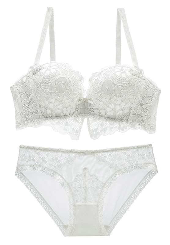 Sexy Floral Lace Push Up Bra and Panty Set