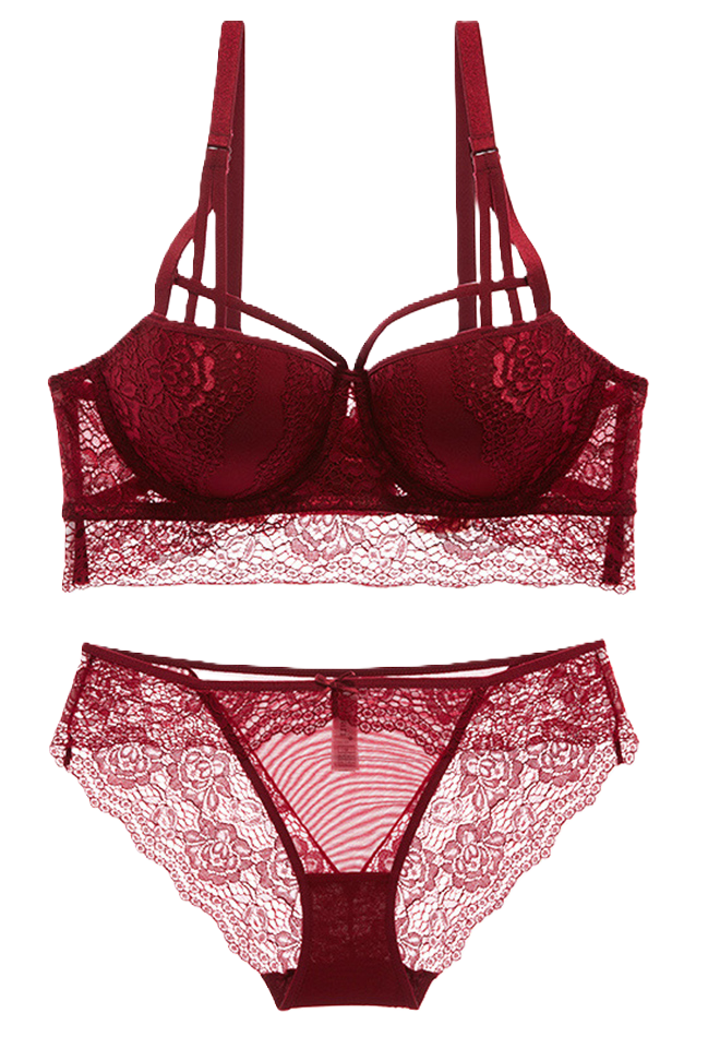 Sexy Lace Underwire Push Up Bra and Panty Soft Lingerie Set