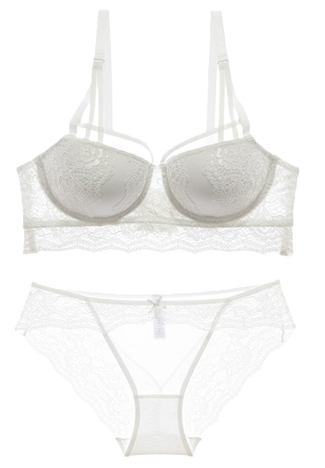 Sexy Lace Underwire Push Up Bra and Panty Soft Lingerie Set