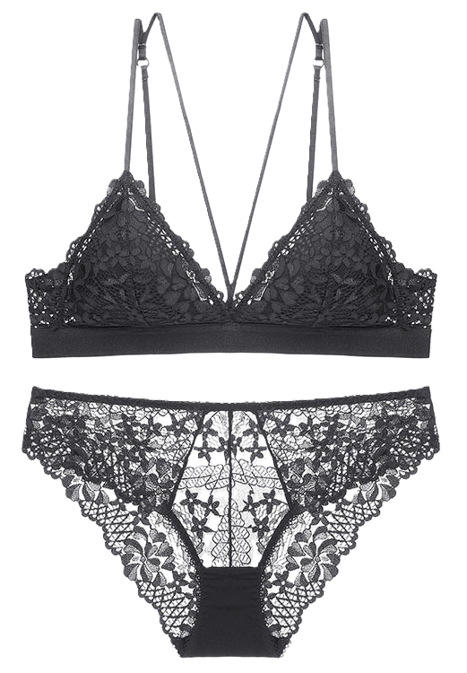 Sexy Embroidered Lace Push up Bralette Set