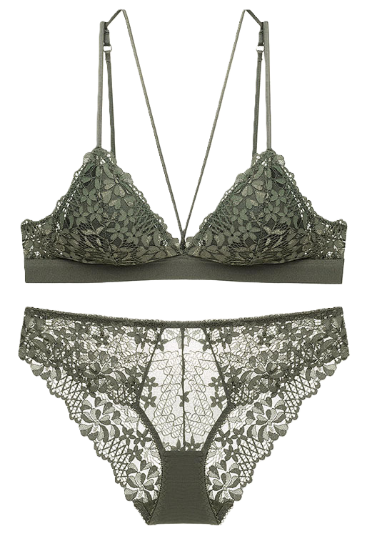 Sexy Embroidered Lace Push up Bralette Set