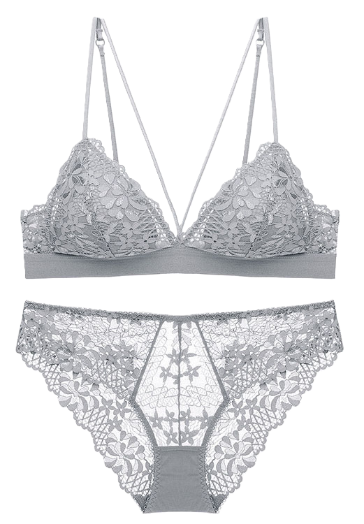 Sexy Embroidered Lace Push up Bralette Set