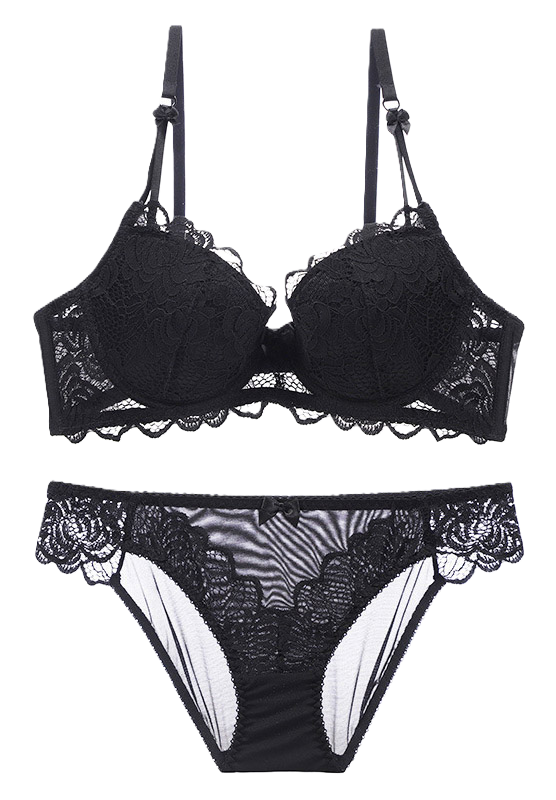 Sexy Floral Lace Underwire Push Up Bra Set II