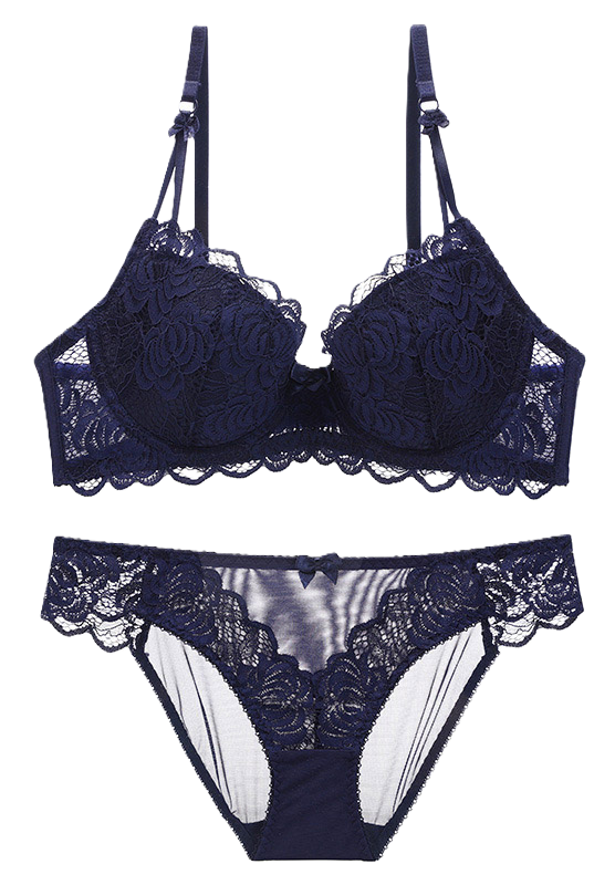 Sexy Floral Lace Underwire Push Up Bra Set II