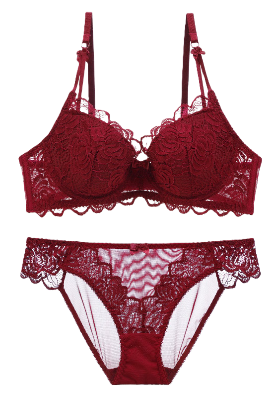 Sexy Floral Lace Underwire Push Up Bra Set II