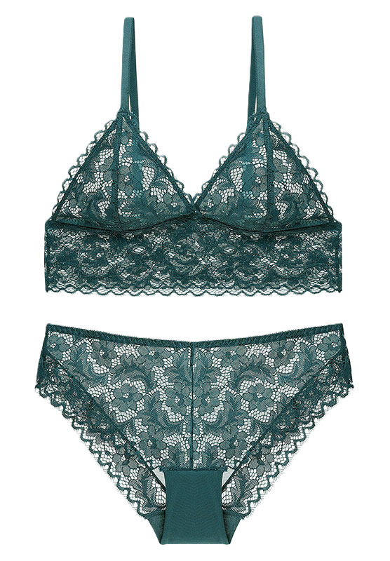 Sheer Lace Bralette Set