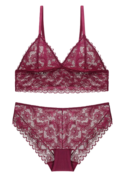 Sheer Lace Bralette Set